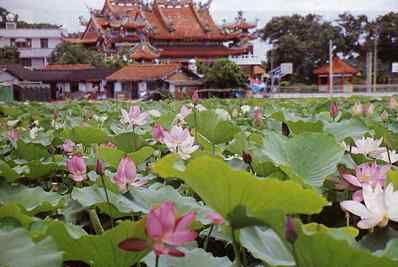 台南景點